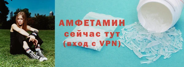трава Инта
