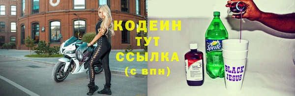 трава Инта