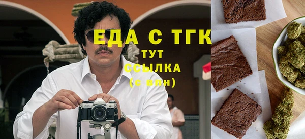 трава Инта