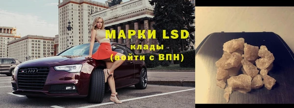 трава Инта