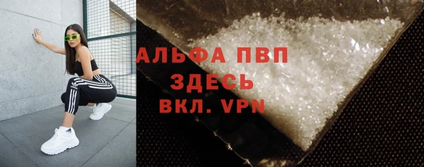 трава Инта